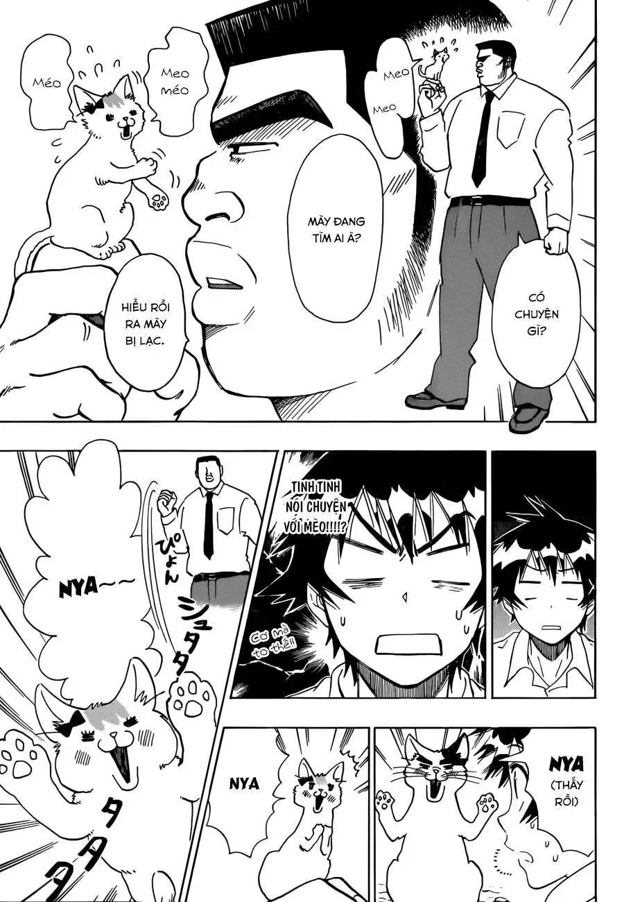 Nisekoi Chapter 89.5 - 4