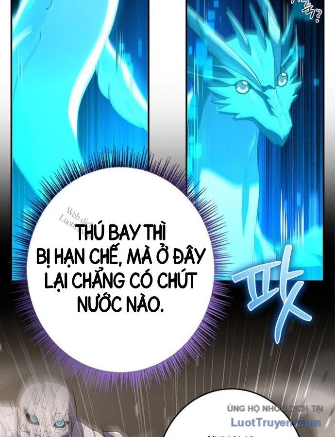 Một Mình Ta Sở Hữu Triệu Hồi Thú Cấp EX Chapter 27 - 44