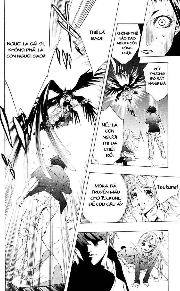 Rosario + Vampire Ss1 Chapter 14 - 42