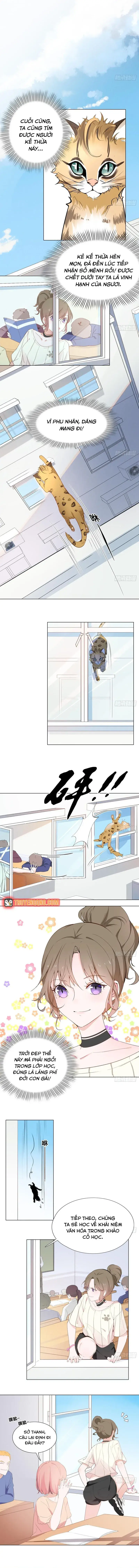 Trên Đời Không Có Mèo Tốt Chapter 1 - 5