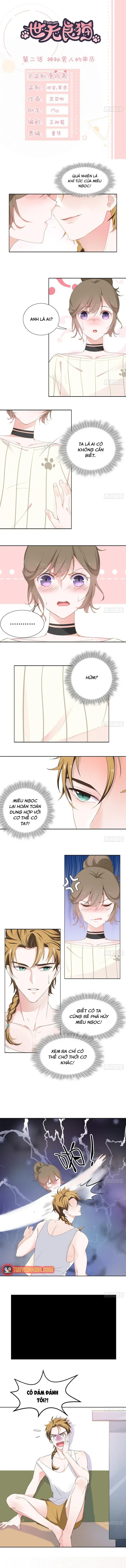 Trên Đời Không Có Mèo Tốt Chapter 2 - 3
