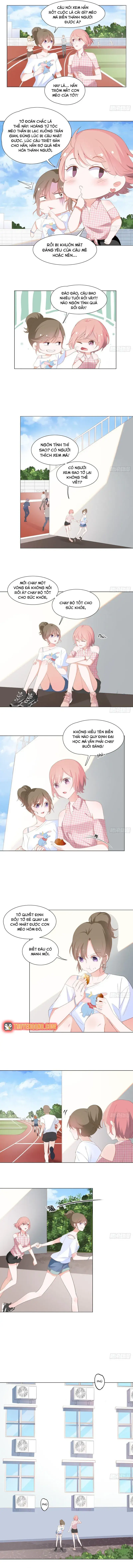 Trên Đời Không Có Mèo Tốt Chapter 2 - 5