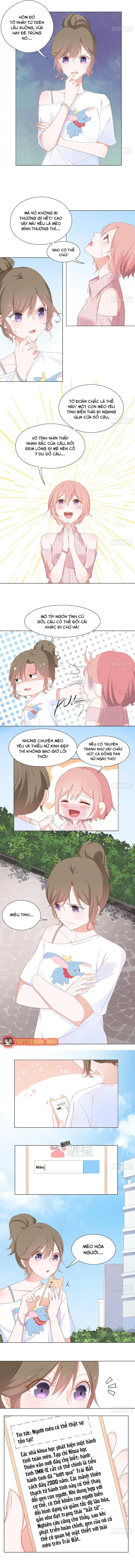 Trên Đời Không Có Mèo Tốt Chapter 2 - 6