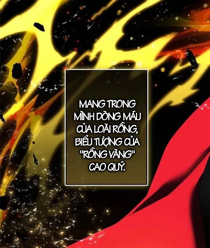 Kiếm Đế Tái Sinh Vào Gia Đình Kiếm Thuật Chapter 1 - 14