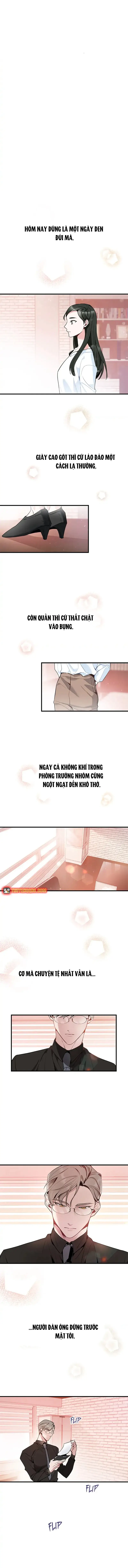 Một Vụ Bê Bối Có Chủ Đích Chapter 1 - 3