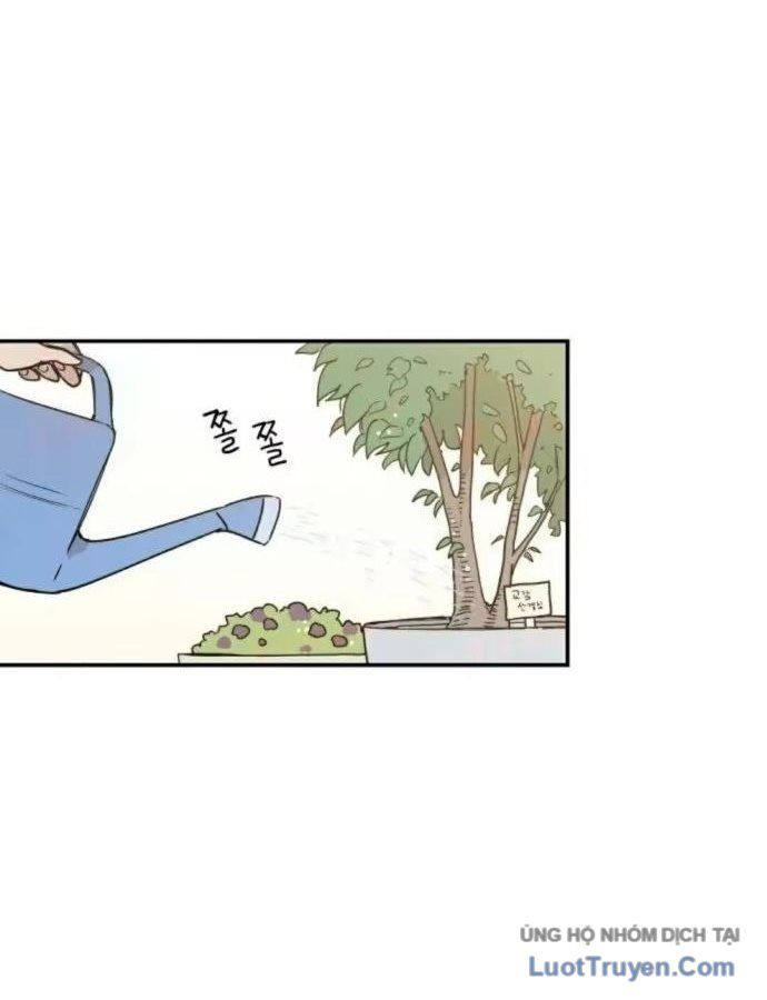 Đau Nhói Chapter 11 - 44