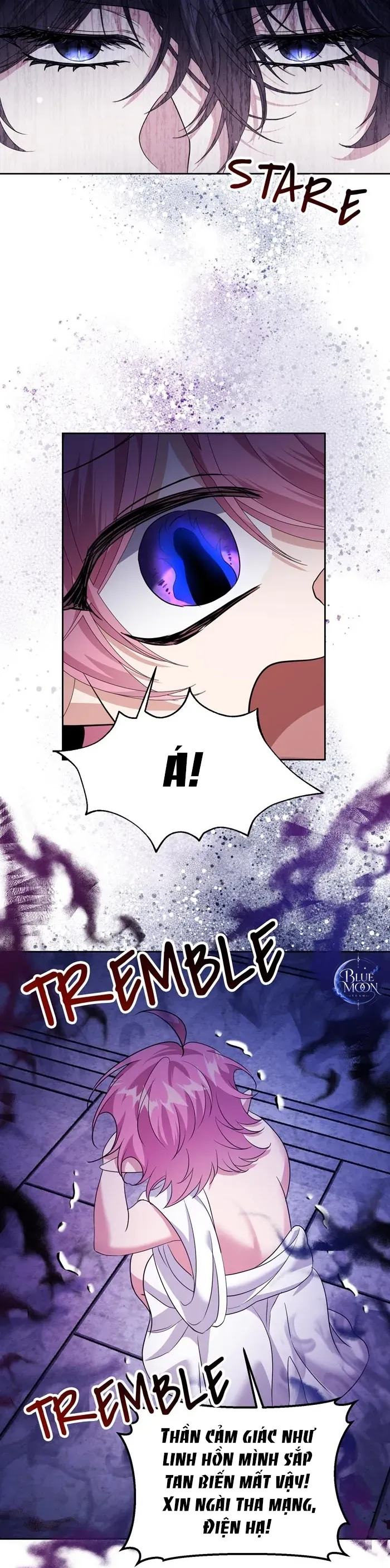 Hào Quang Rực Rỡ Chapter 5 - 24