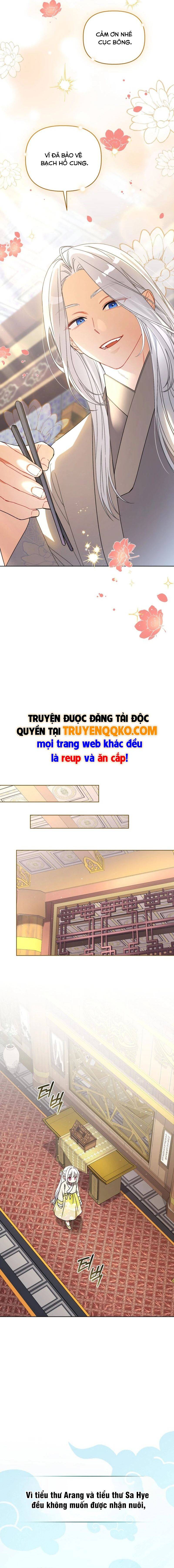 Cục Bông Nhỏ Đáng Yêu Của Tộc Bạch Hổ Chapter 21 - 8