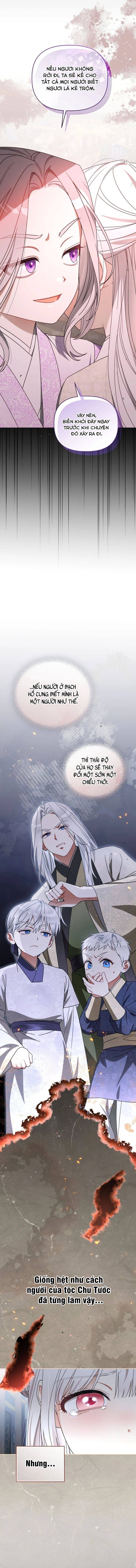 Cục Bông Nhỏ Đáng Yêu Của Tộc Bạch Hổ Chapter 21 - 12
