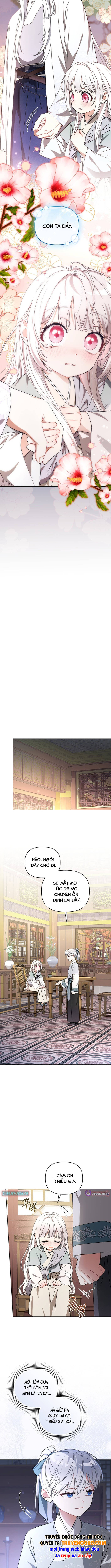 Cục Bông Nhỏ Đáng Yêu Của Tộc Bạch Hổ Chapter 23 - 12