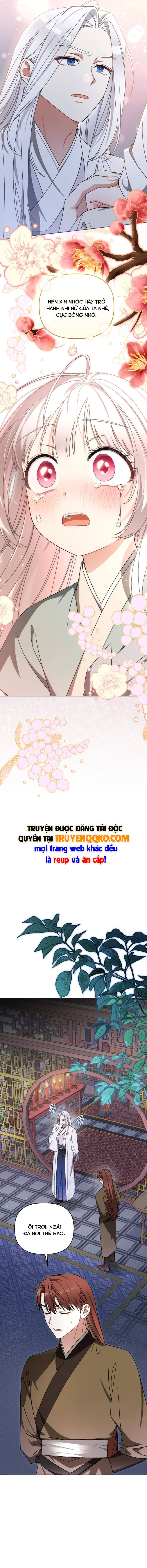 Cục Bông Nhỏ Đáng Yêu Của Tộc Bạch Hổ Chapter 24 - 9