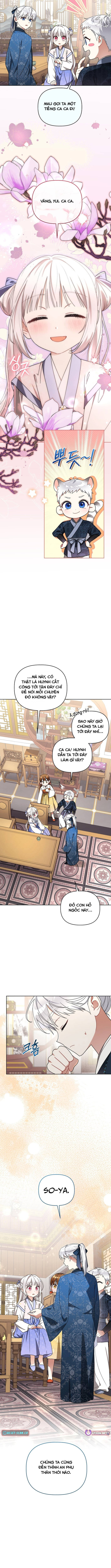 Cục Bông Nhỏ Đáng Yêu Của Tộc Bạch Hổ Chapter 25 - 5