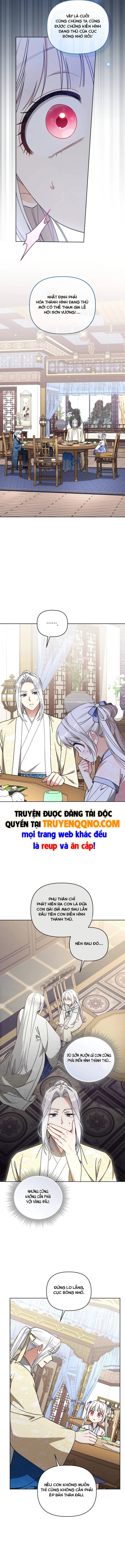 Cục Bông Nhỏ Đáng Yêu Của Tộc Bạch Hổ Chapter 26 - 13