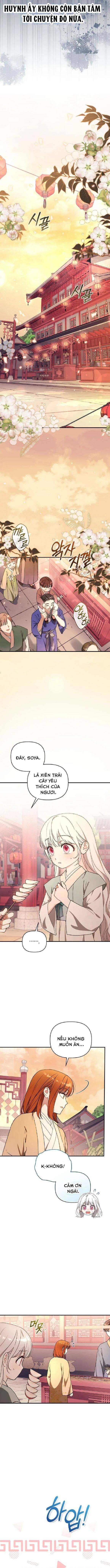 Cục Bông Nhỏ Đáng Yêu Của Tộc Bạch Hổ Chapter 4 - 5