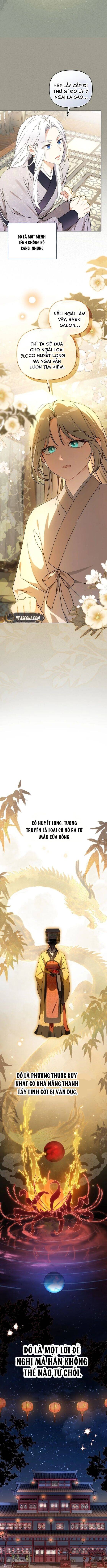 Cục Bông Nhỏ Đáng Yêu Của Tộc Bạch Hổ Chapter 5 - 3