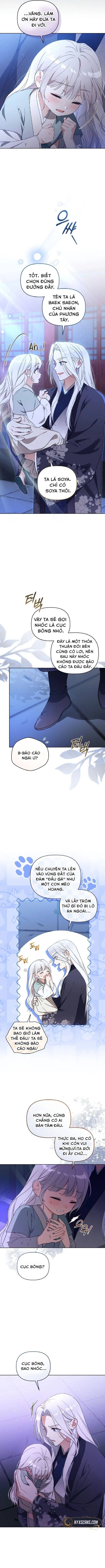 Cục Bông Nhỏ Đáng Yêu Của Tộc Bạch Hổ Chapter 5 - 11
