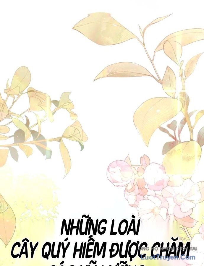 Chữa Lành Bằng Deubli Chapter 2 - 107