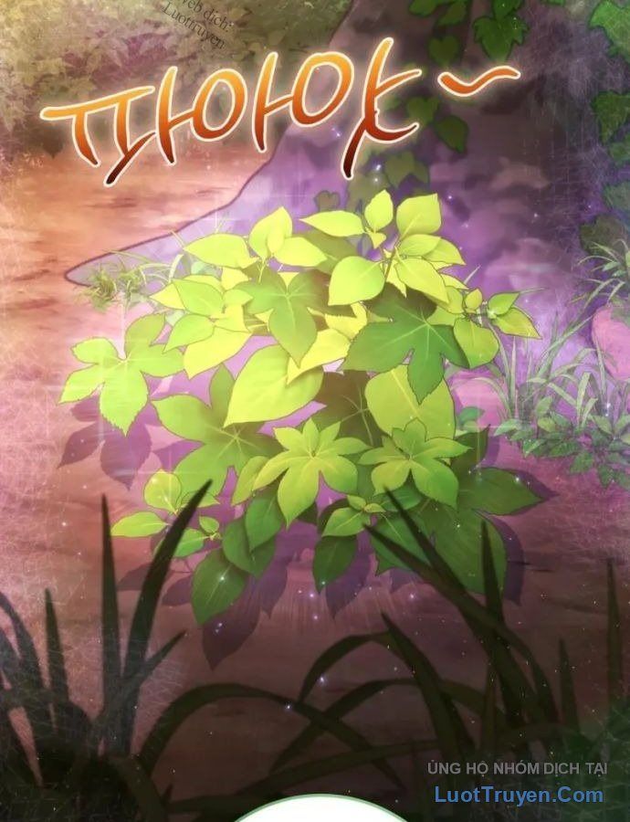 Chữa Lành Bằng Deubli Chapter 4 - 31