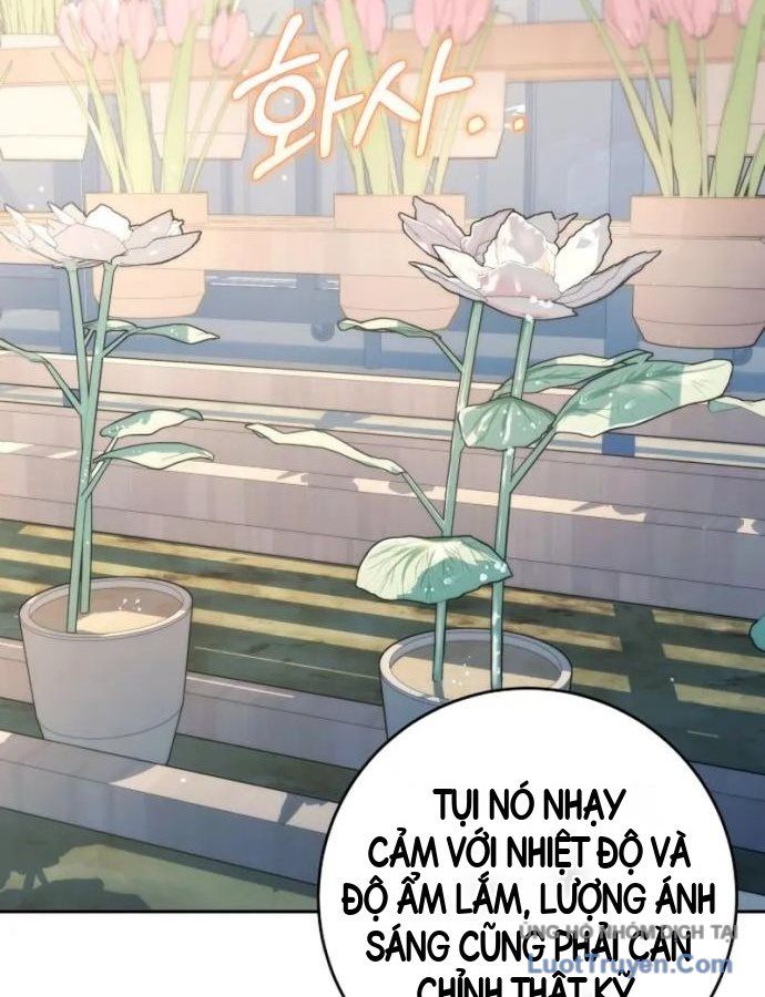 Chữa Lành Bằng Deubli Chapter 5 - 82