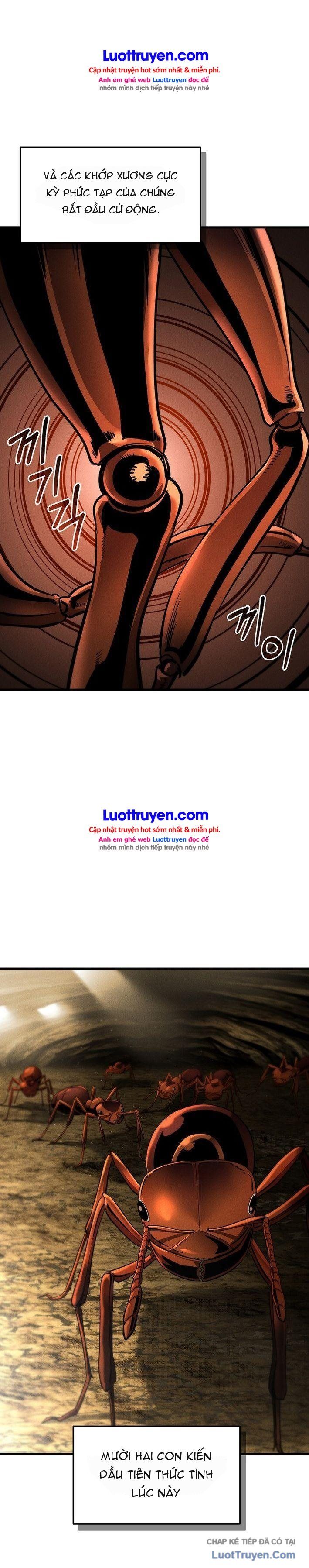 Đế Chế Loài Kiến Chapter 2 - 32