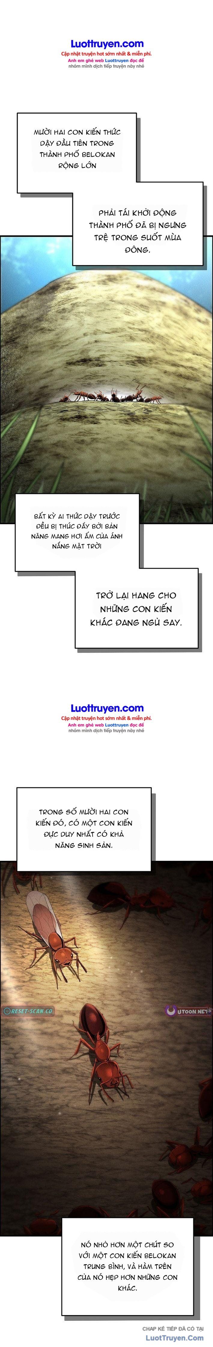 Đế Chế Loài Kiến Chapter 2 - 37