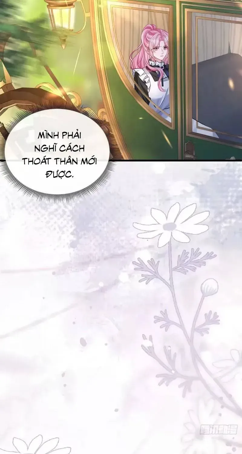 Lỡ Cưỡng Ép Nhầm Ông Trùm Ẩn Thân Chapter 8 - 5