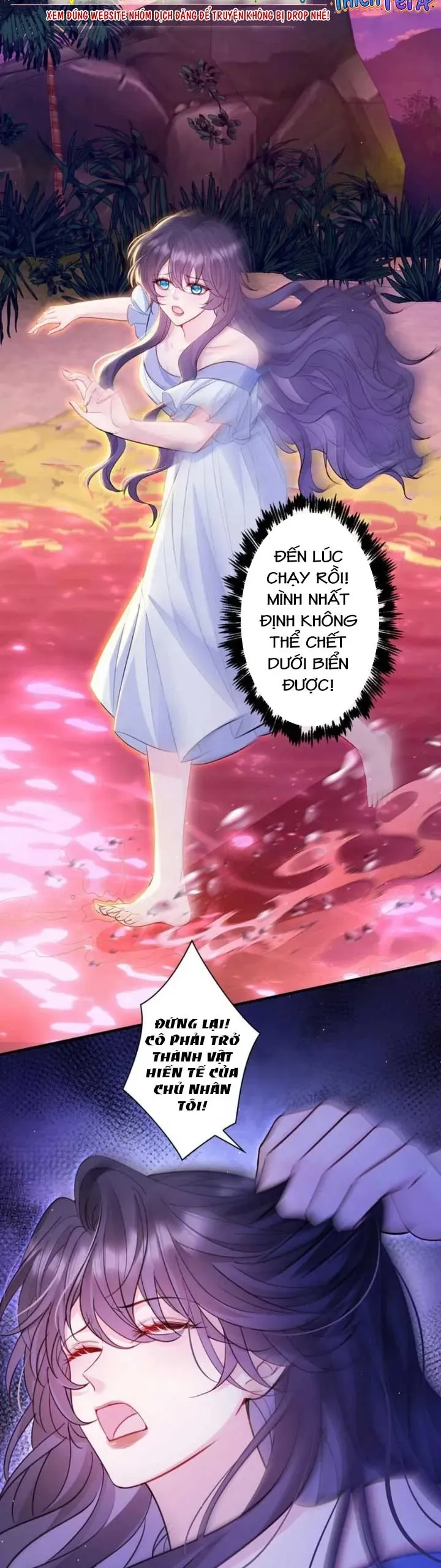 Tái Ngộ Lời Hứa Mùa Hạ Năm Xưa Chapter 13 - 15