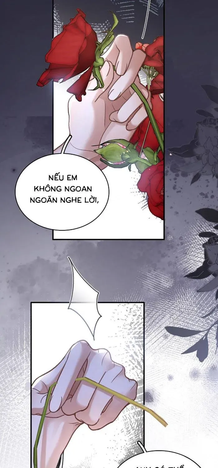 Sau Ly Hôn, Hạnh Phúc Gõ Cửa Chapter 3.2 - 11
