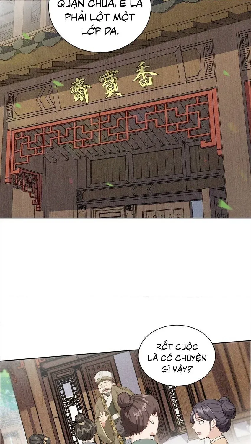 Hoa Đào Chiếu Án Ngọc Chapter 17 - 4