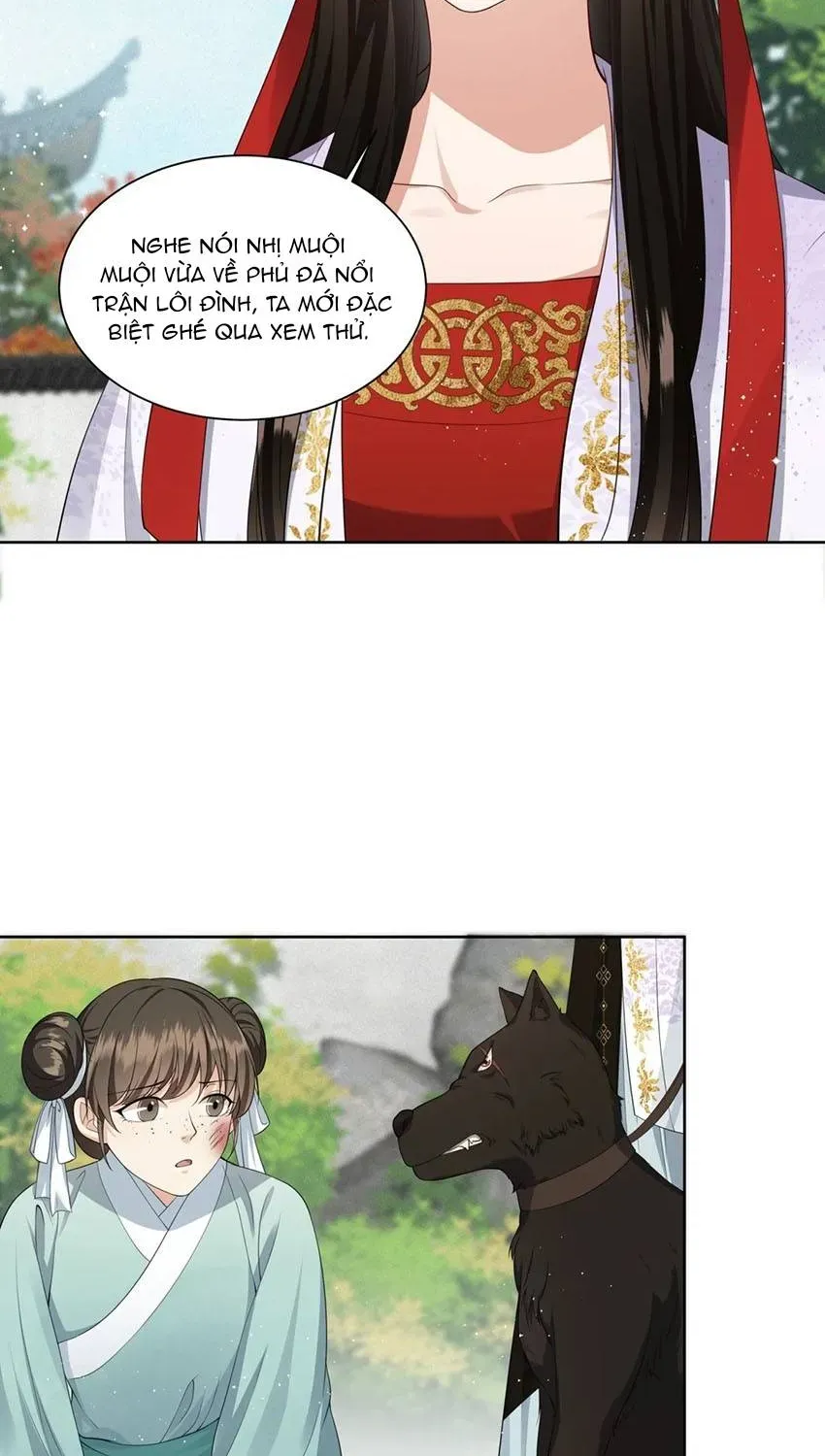 Hoa Đào Chiếu Án Ngọc Chapter 21 - 13