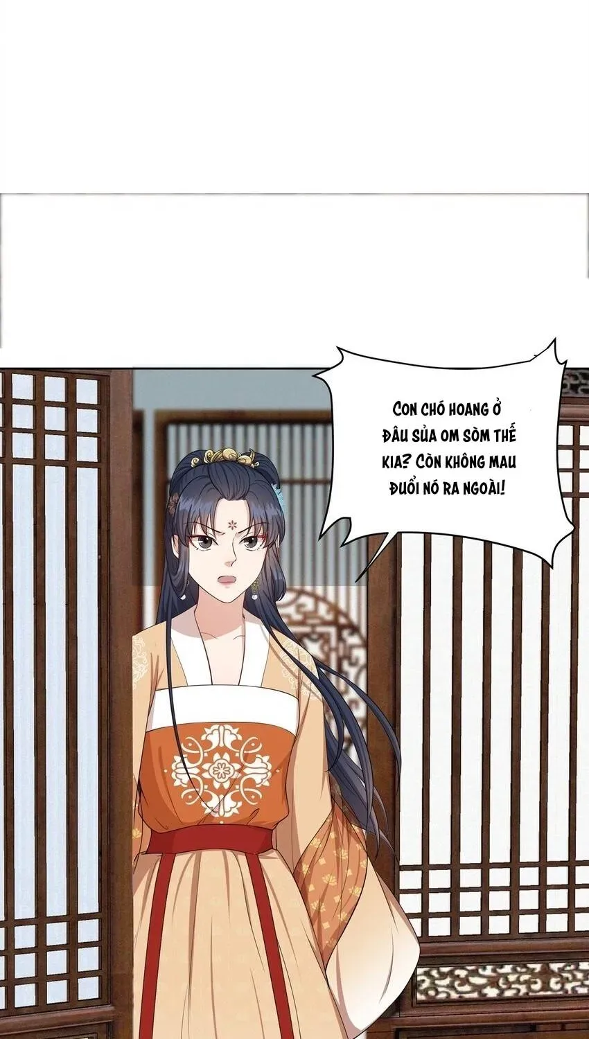 Hoa Đào Chiếu Án Ngọc Chapter 21 - 18