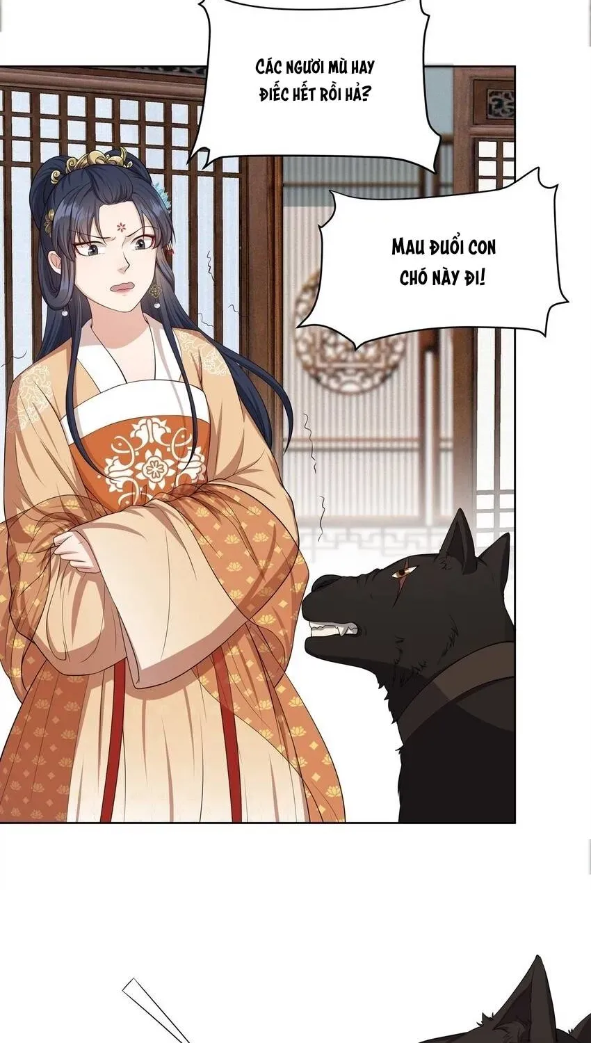 Hoa Đào Chiếu Án Ngọc Chapter 21 - 20