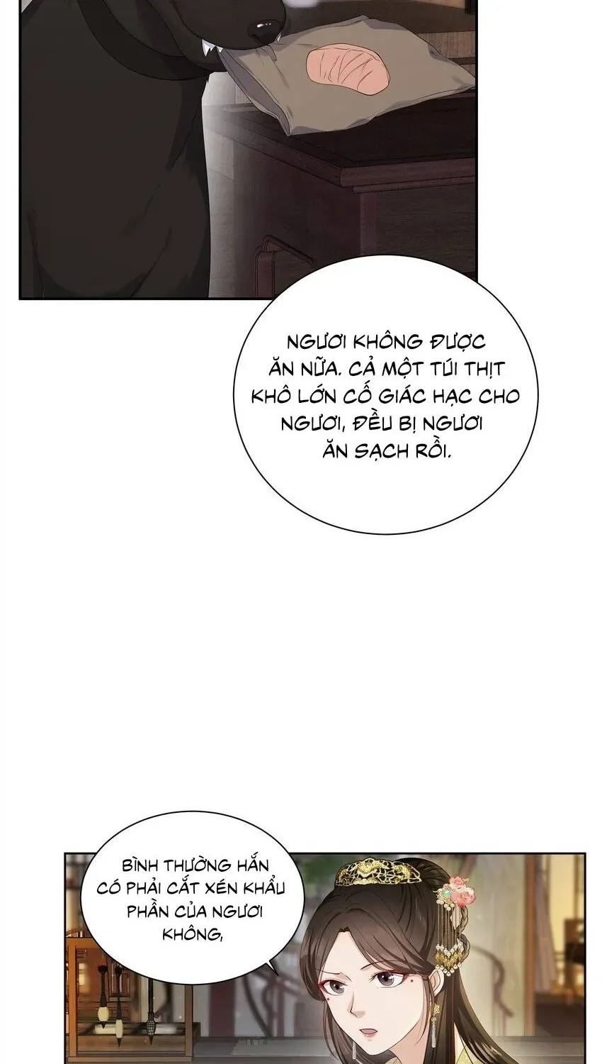 Hoa Đào Chiếu Án Ngọc Chapter 23 - 11