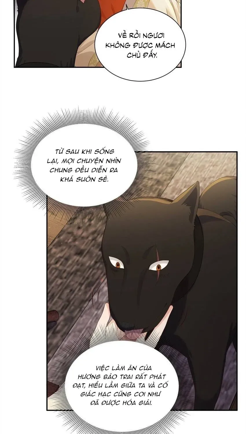 Hoa Đào Chiếu Án Ngọc Chapter 23 - 6
