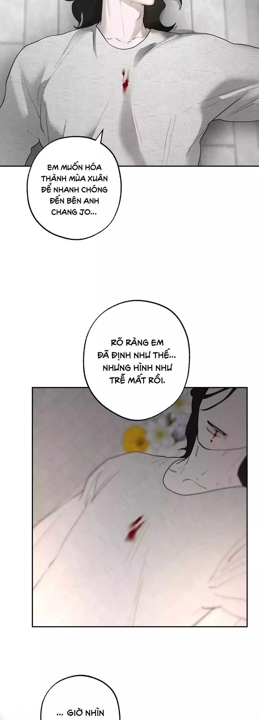 Giấc Mơ Đêm Hè Chapter 8 - 17