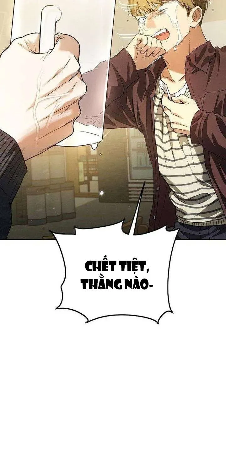 Kẻ Hư Hỏng Thuần Túy Chapter 5 - 17