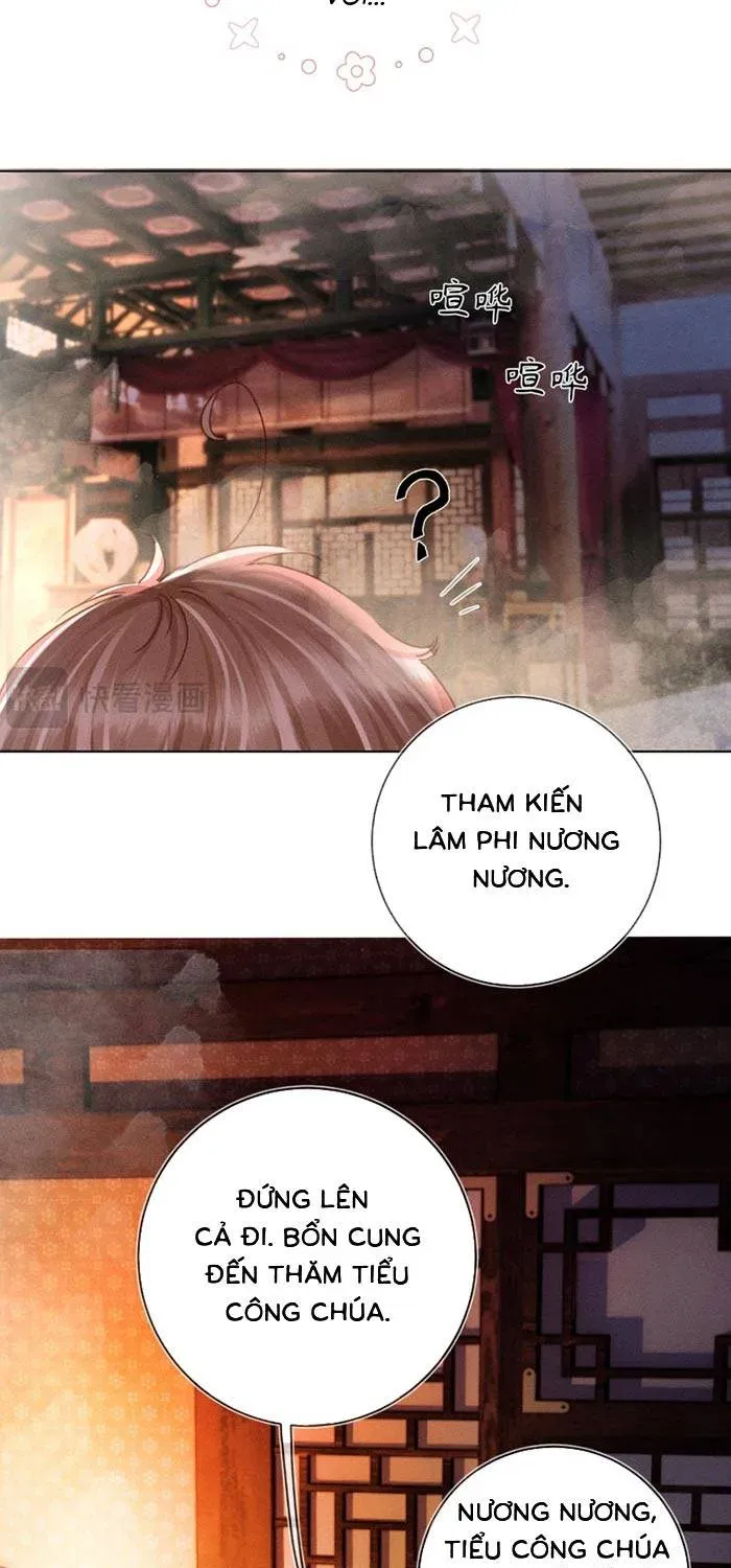 Được Cưng Chiều Từ Thuở Lọt Lòng Chapter 2 - 55