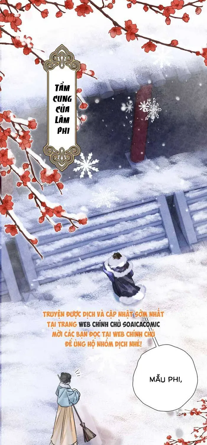 Được Cưng Chiều Từ Thuở Lọt Lòng Chapter 4 - 12