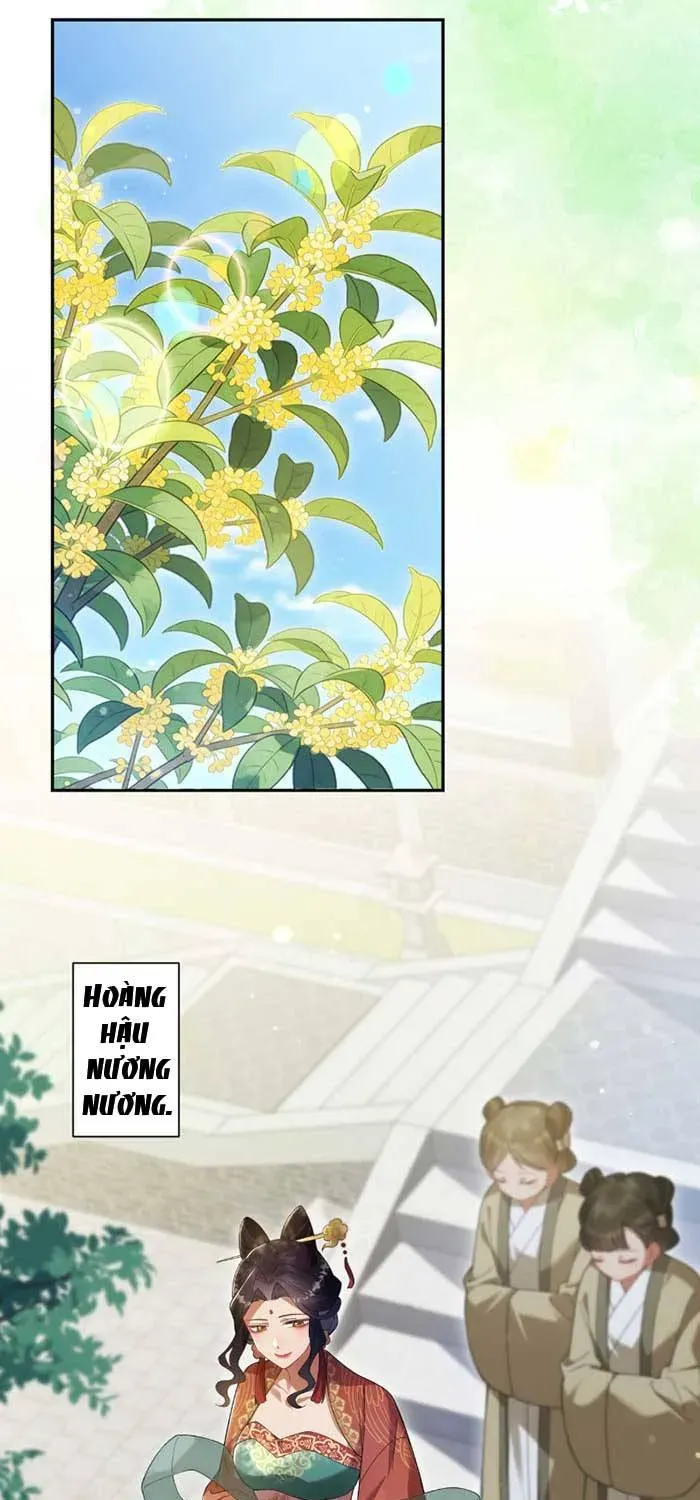 Đế Vị Do Ta Định Đoạt Chapter 2.2 - 15