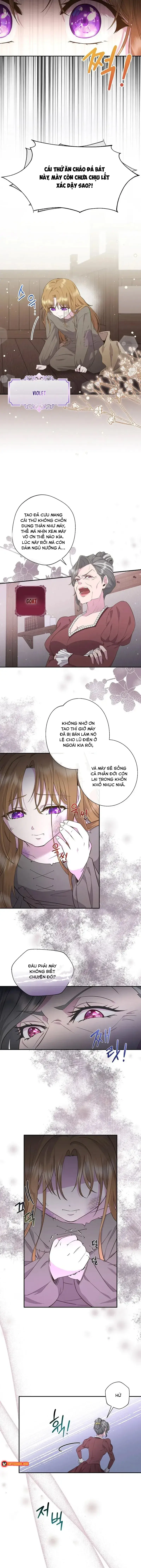 Hoa Tím Nở Nơi Vũng Lầy Chapter 1 - 6