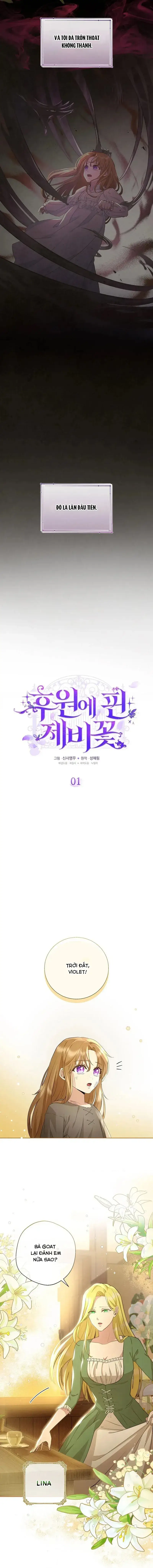 Hoa Tím Nở Nơi Vũng Lầy Chapter 1 - 8