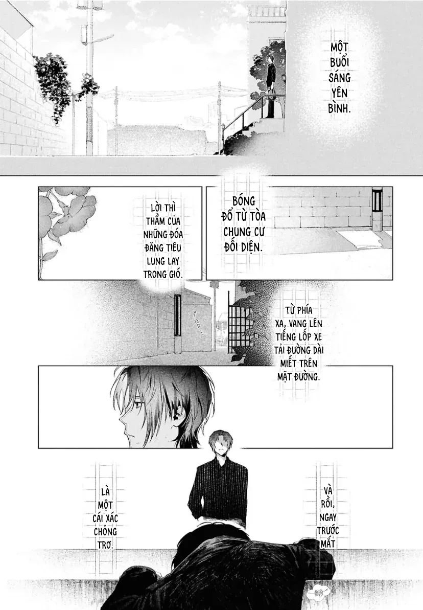 Văn Hào Lưu Lạc: Ngày Tôi Nhặt Được Dazai Chapter 1 - 5