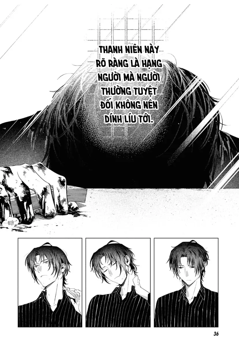 Văn Hào Lưu Lạc: Ngày Tôi Nhặt Được Dazai Chapter 1 - 8