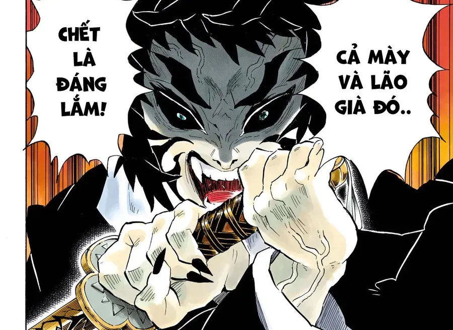 Thanh Gươm Diệt Quỷ Chapter 145.1 - 12