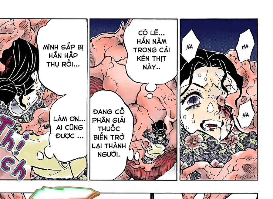 Thanh Gươm Diệt Quỷ Chapter 146.1 - 37