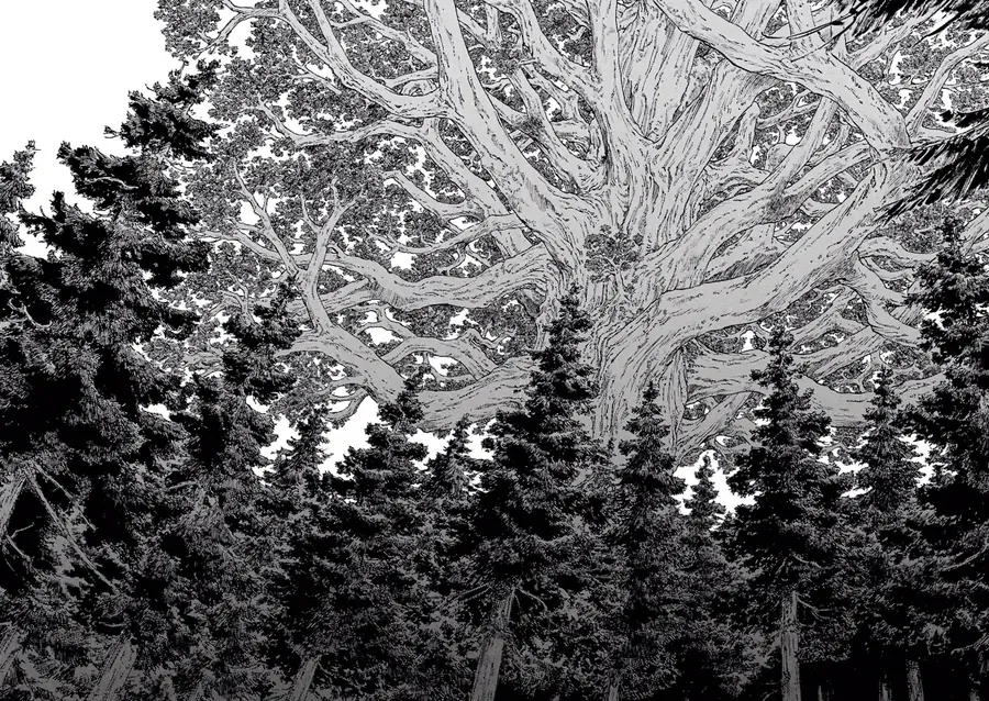 Dragon Quest 2 - Dấu Ấn Rồng Thiêng Ii Chapter 81 - 18