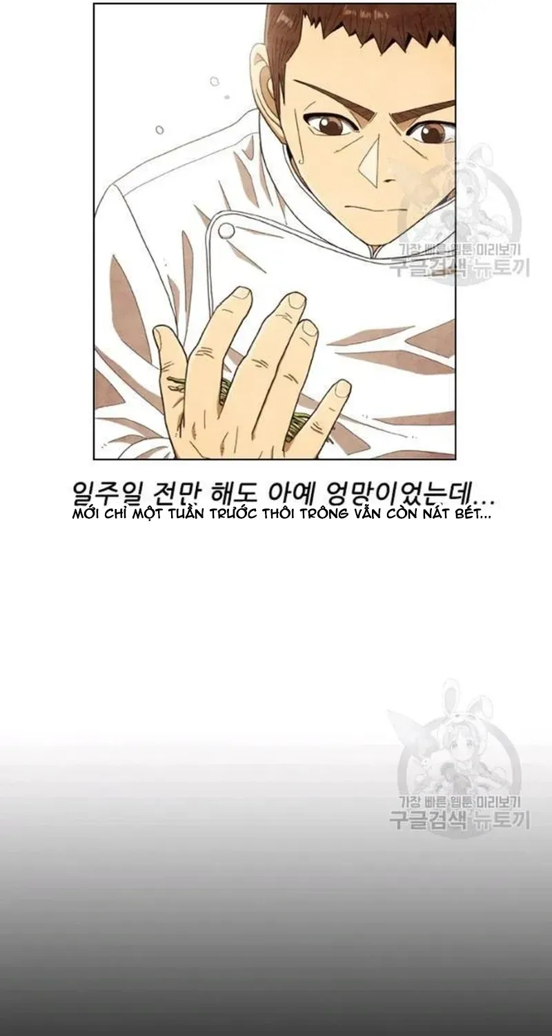 Ngôi Sao Ẩm Thực Michelin Star Chapter 206 - 10