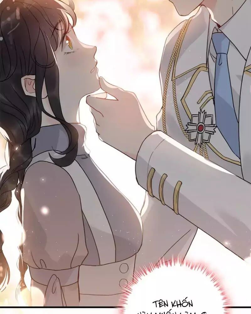 Cô Vợ Hợp Đồng Bỏ Trốn Của Tổng Giám Đốc Chapter 217.1 - 41