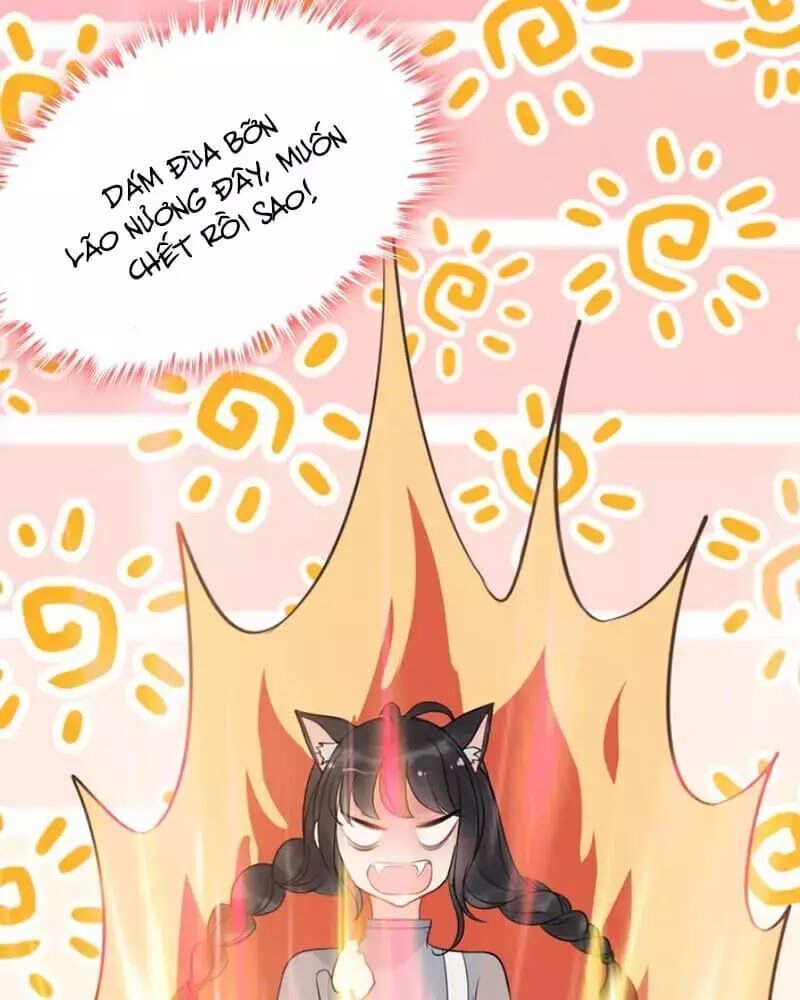 Cô Vợ Hợp Đồng Bỏ Trốn Của Tổng Giám Đốc Chapter 217.1 - 62
