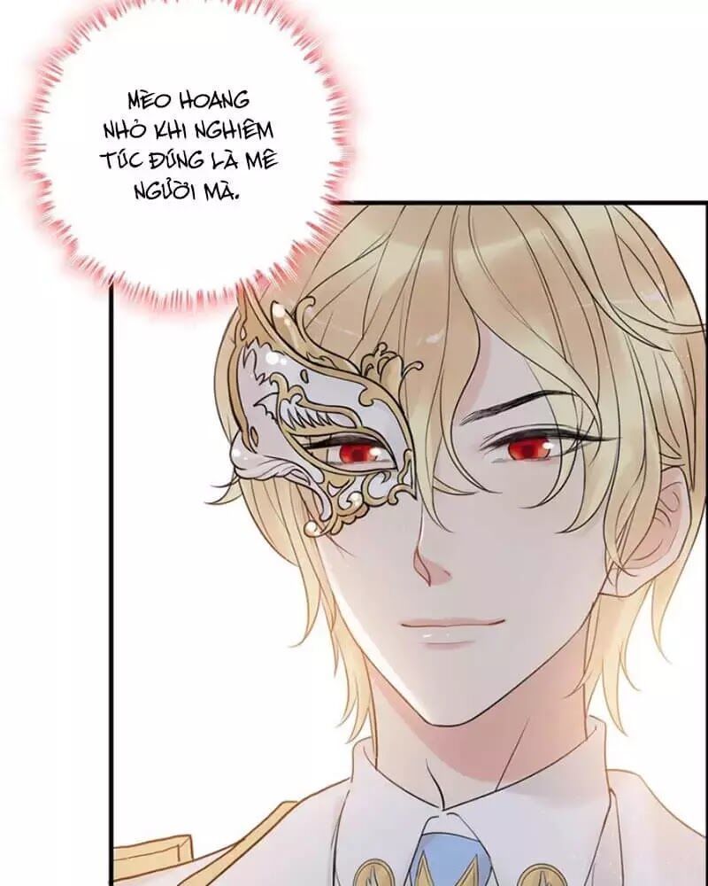 Cô Vợ Hợp Đồng Bỏ Trốn Của Tổng Giám Đốc Chapter 217.3 - 21